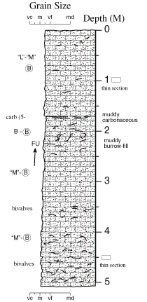 Labelled sketch of core showing bedding and other features