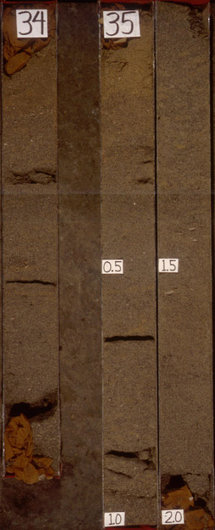 High detail photo of core