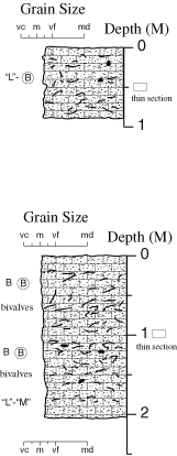 Labelled sketch of core showing bedding and other features