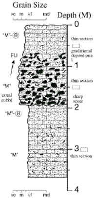 Labelled sketch of core showing bedding and other features