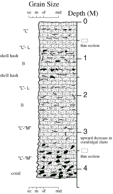 Labelled sketch of core showing bedding and other features