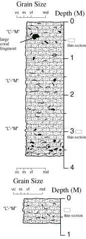 Labelled sketch of core showing bedding and other features