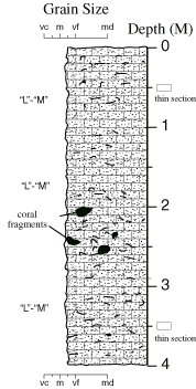 Labelled sketch of core showing bedding and other features