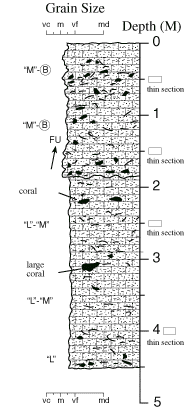 Labelled sketch of core showing bedding and other features