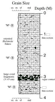 Labelled sketch of core showing bedding and other features