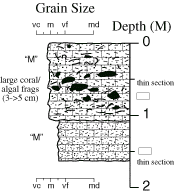 Labelled sketch of core showing bedding and other features