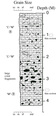 Labelled sketch of core showing bedding and other features