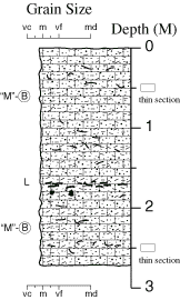 Labelled sketch of core showing bedding and other features