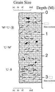 Labelled sketch of core showing bedding and other features