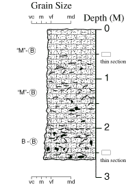 Labelled sketch of core showing bedding and other features