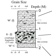 Labelled sketch of core showing bedding and other features