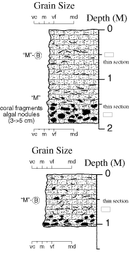 Labelled sketch of core showing bedding and other features