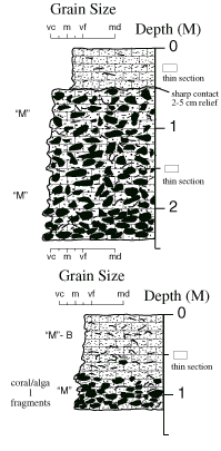 Labelled sketch of core showing bedding and other features