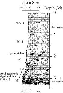 Labelled sketch of core showing bedding and other features