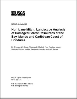 Thumbnail of cover and link to download report PDF (41 kB)