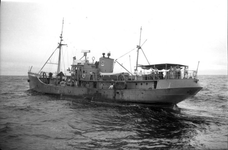 Port-side view of the ALBATROSS III at sea.