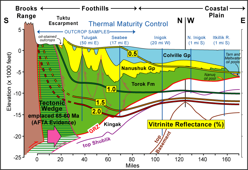 Generalized cross-section, based on regional seismic lines, showing geology of Brookian strata in eastern NPRA and adjacent areas