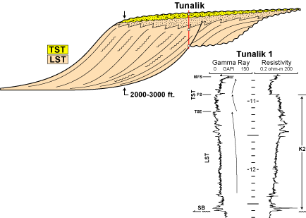 Schematic illustration of an idealized depositional sequence within K4 and wireline log from Tunalik well