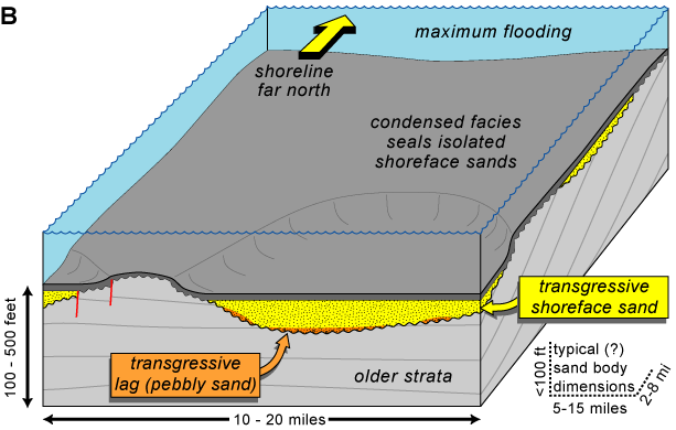 Deposition of condensed mudstone above transgressive shoreface sand during maximum flooding