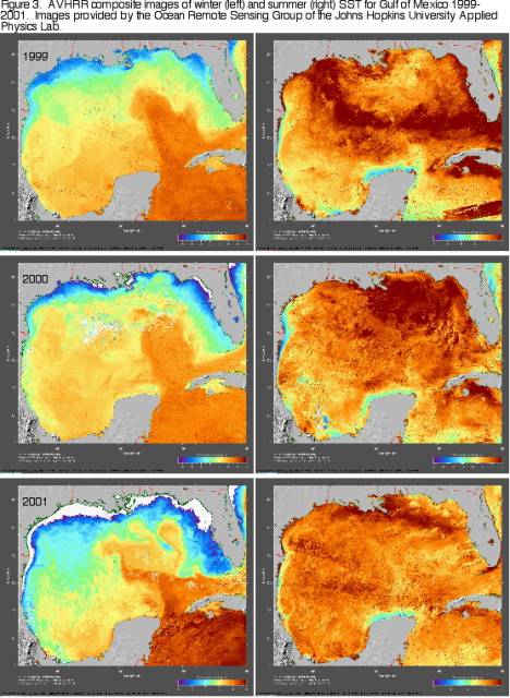 AvHRR composite images of winter and summer SST for Gulf of Mexico 1999-2001