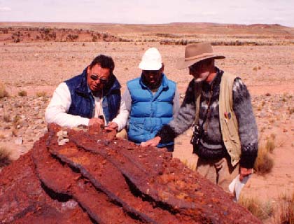 Photo, Cox, Andre, and Carrasco.  Outcrop is deep red; dry wash in background