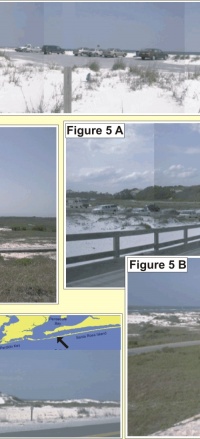 Fig. 3:  Dominant geomorphology of Santa Rosa Island. Fig. 4: West Ship Island looking east from Civil War era Fort Massachusetts. Fig. 5: A) Langdon Battery near Fort Pickens. B) view from the top of Langdon Battery. Fig. 6: Dune ridge adjacent to washover on Santa Rosa Island.