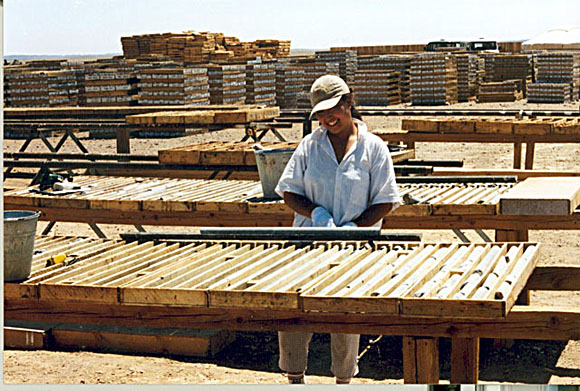 Woman standing among hundreds of racks of drill core smiling at the camera.