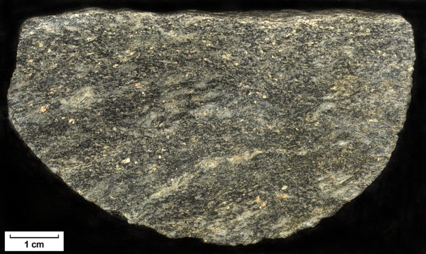 Sample: 03MW0113 - Orthogneiss