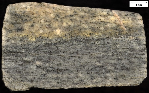 Sample: 27MW2130 - Orthogneiss