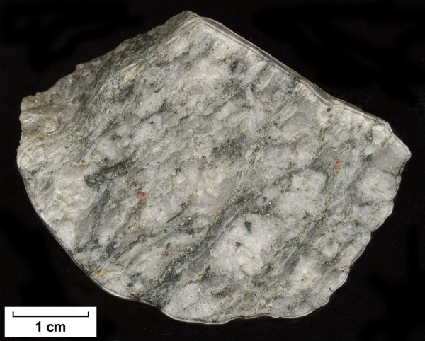 Sample: 28MW0031 - Orthogneiss