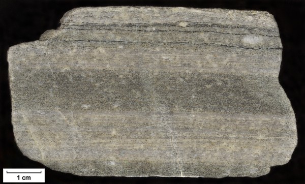 Sample: 69MW1603 - Orthogneiss