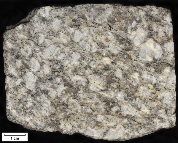 Sample: 69MW1707 - Orthogneiss