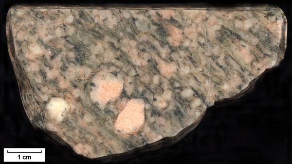 Sample: 81MW0016 - Orthogneiss