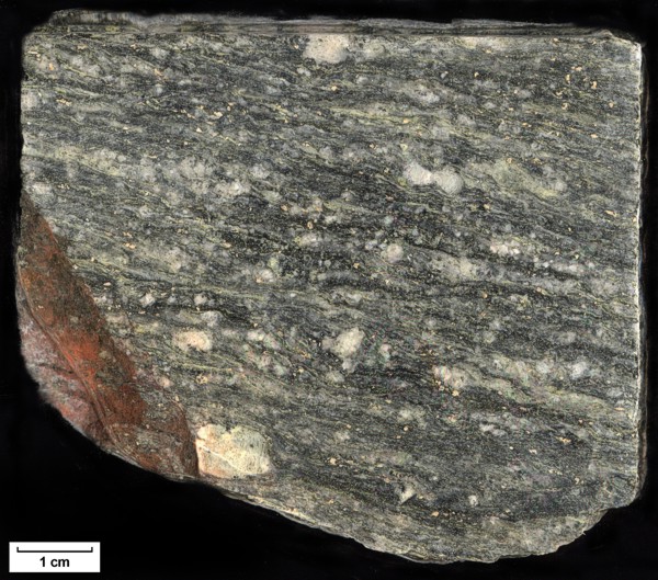 Sample: 82MW0008 - Orthogneiss