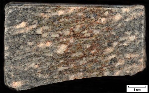 Sample: 82MW0012 - Orthogneiss