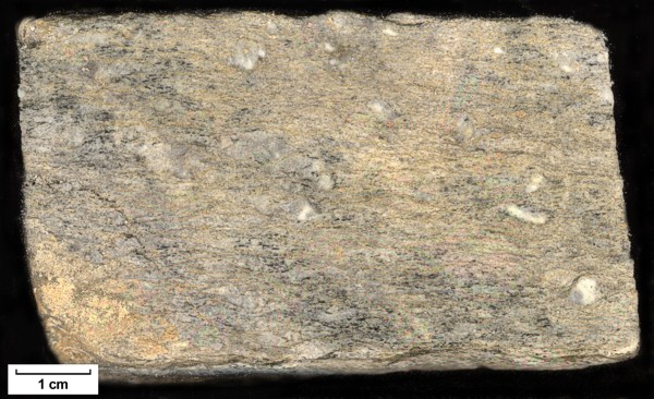 Sample: 82MW0015 - Orthogneiss