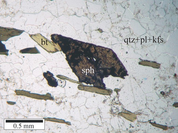 Subhedral sphene grain in granite aligned in foliation.  Note the subhedral, embayed shape of the sphene grain, and the partial rimming by biotite.