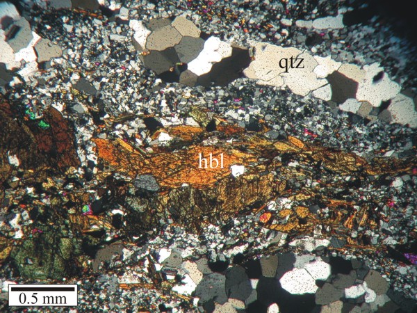 Amphibolite showing fine-grained matrix with hornblende and quartz aggregates aligned in foliation.  Note the relatively straight grain boundaries of quartz within the aggregates suggesting recrystallization.