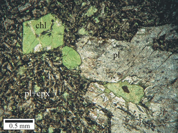Phyric basalt (36MW1041) showing altered plagioclase phenocrysts and relict euhedral olivine grains that are completely altered to chlorite in a plagioclase + clinopyroxene matrix.