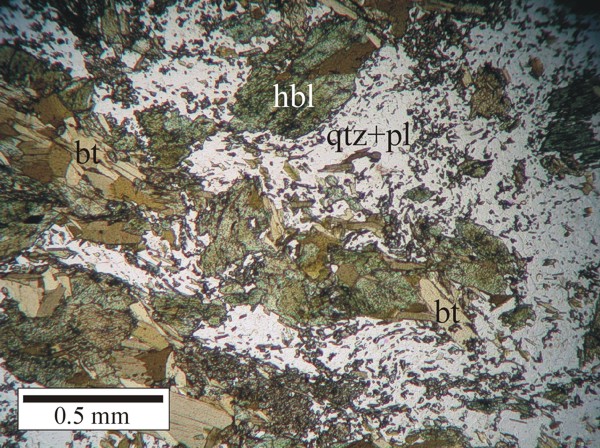 Intergrown biotite and hornblende grains in a matrix of altered plagioclase and quartz in an unfoliated amphibolite. Tiny, high relief grains in the matrix are mainly sausserite (epidote) and some sericite.