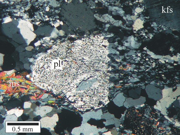 Altered plagioclase phenocryst partially recrystallized as fine-grained, unaltered plagioclase in granite. Note later matrix muscovite wrapping non-recrystallized grain.