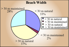 Beach width pie chart.