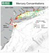 Mercury Concentrations