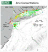 Zinc Concentrations