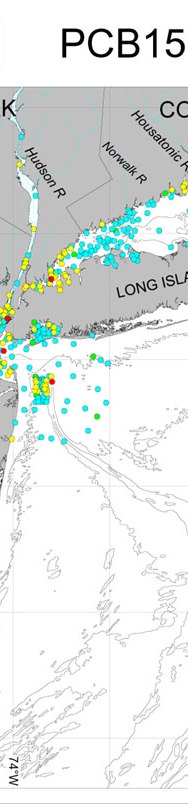 PCB 153 Concentrations.