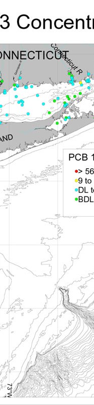 PCB 153 Concentrations.