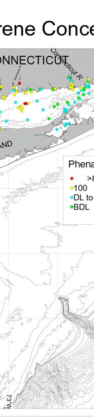 Phenanthrene Concentrations.