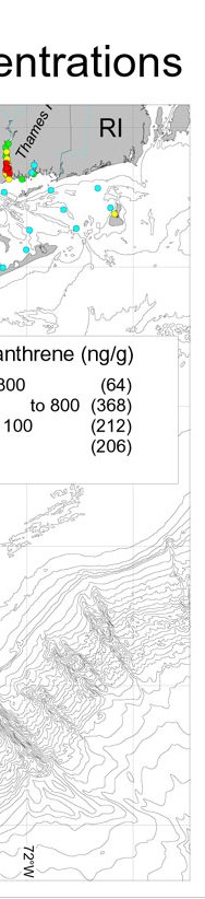 Phenanthrene Concentrations.