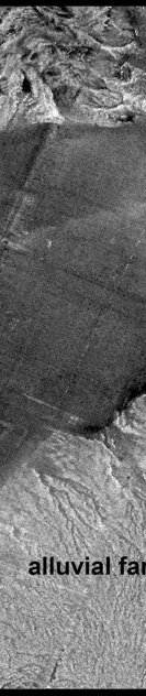 Figure 8. Sidescan-sonar image showing part of Boulder Basin.