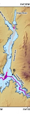 Figure 9. Map showing the thickness of post-impoundment sediment in Lake Mead.